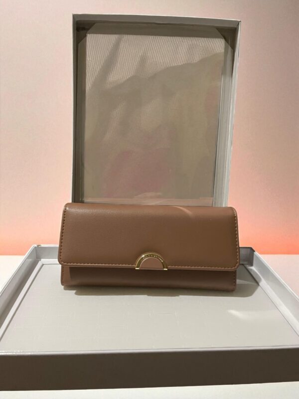 Everyday Brown Clutcch