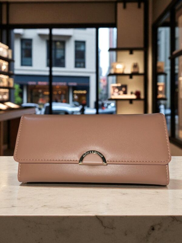 Everyday Brown Clutcch